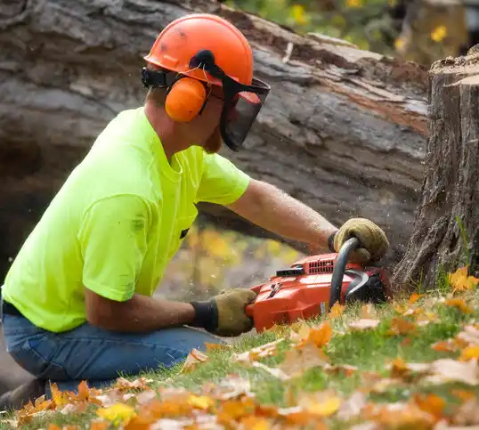 tree services Campton